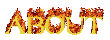 top banner